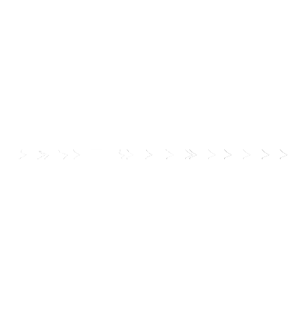North Coast Music Festival Logo