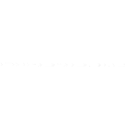 North Coast Music Festival Logo