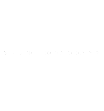 North Coast Music Festival Logo