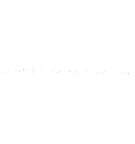 North Coast Music Festival Logo